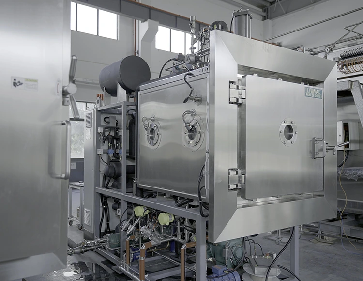 Industrial Freeze Dryers: Core Processing Equipment Across Multiple Industries