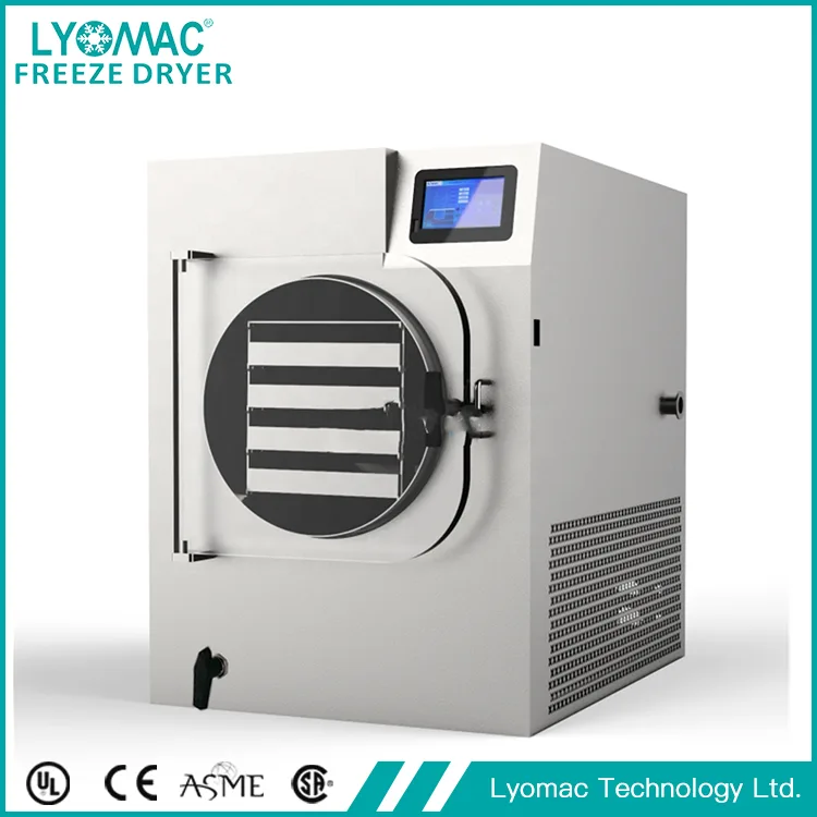 What Are the Best Foods to Preserve with a Food Freeze Dryer Machine