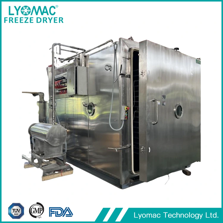 How Is a Nutraceutical Lyophilizer Applied Across Dietary Supplement Manufacturing?