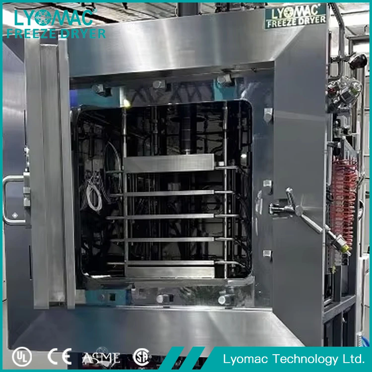 How Can Biological Sample Lyophilizers Improve Laboratory Efficiency?