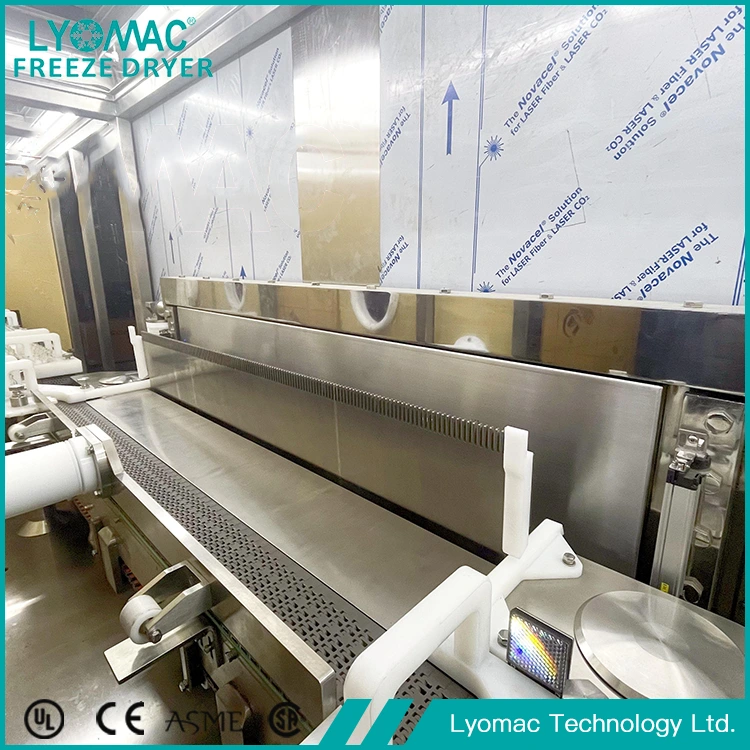 The Science of Freeze Drying: How Lyomac Preserves Sensitive Compounds