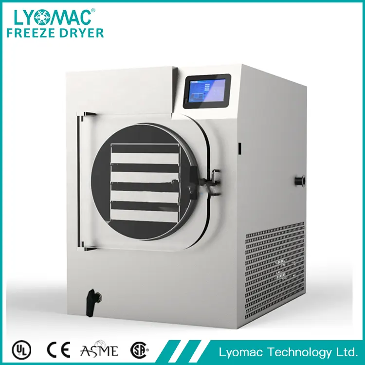 The Unsung Hero of Freeze Drying: Lyomac’s Precision Condenser Technology