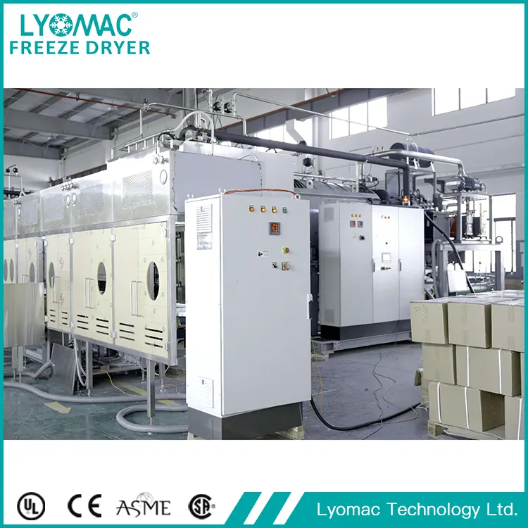 Customization Redefined: How Lyomac Solves Unique Pharma Production Challenges