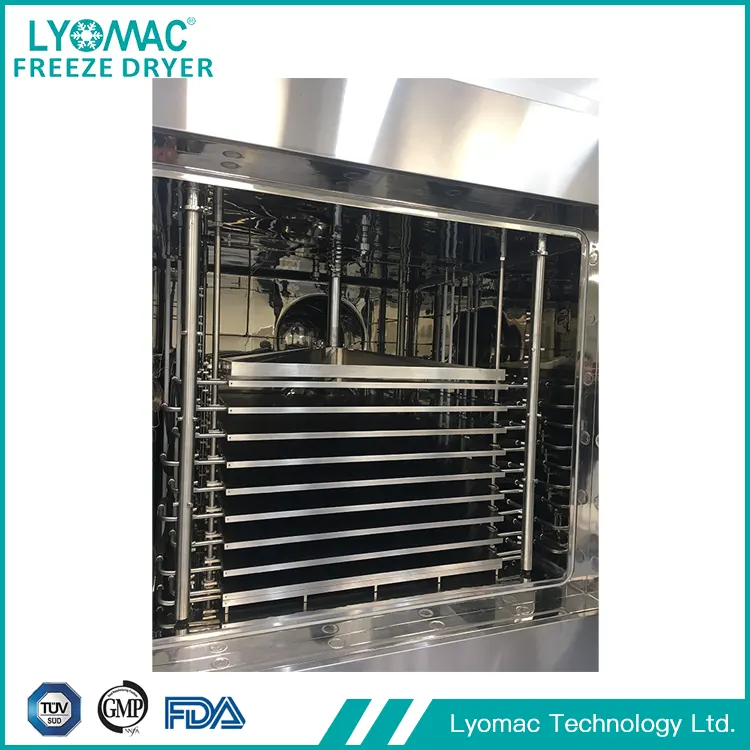 The Power of SCADA: Lyomac’s Digital Control for Compliant, Data-Driven Production