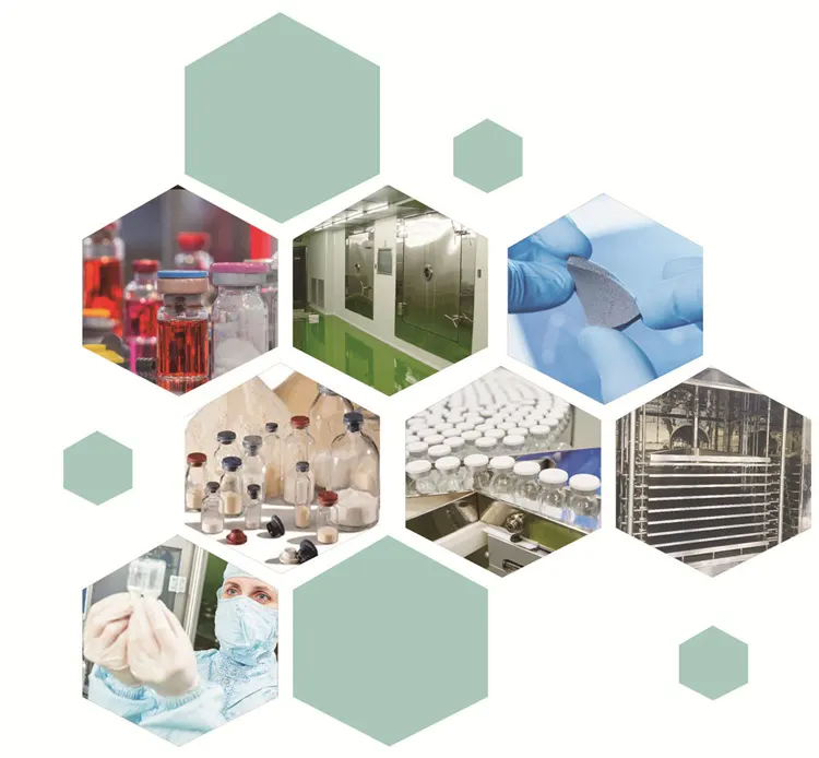 Sustainability in Pharma: Lyomac’s Eco-Friendly Freeze Drying Solutions