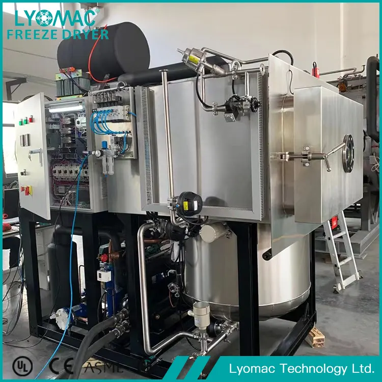 Lyomac’s Hydraulic & Pneumatic Systems: The Mechanical Core of Reliable Freeze Drying