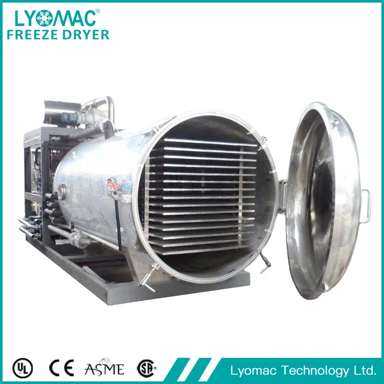 Comparative Analysis — HighEnd Domestic Freeze Dryers Versus Imported Brands: CostEffectiveness and Value Considerations