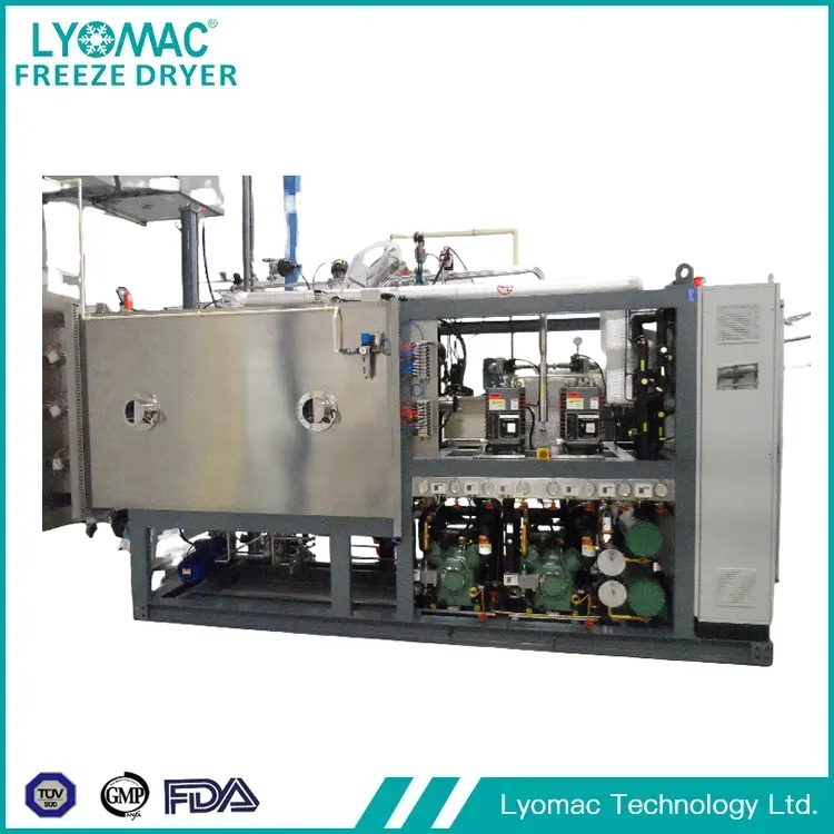 Food Lyophilization Process