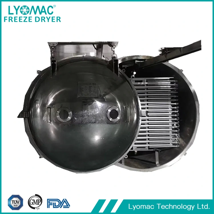 Food Lyophilizer Equipment