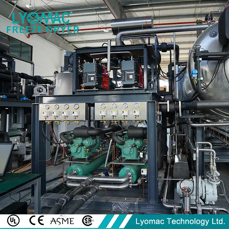 Freeze Dryer for Rabies Vaccine