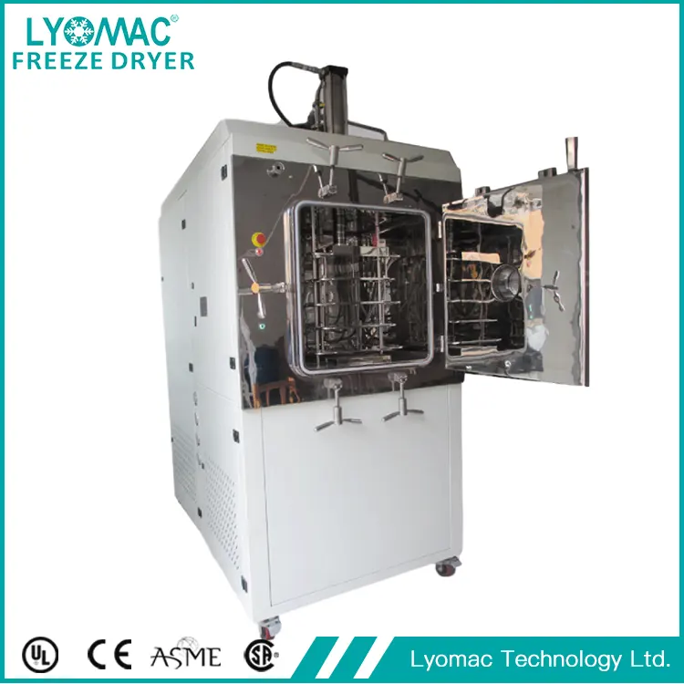 Fruit Lyophilizer Machine