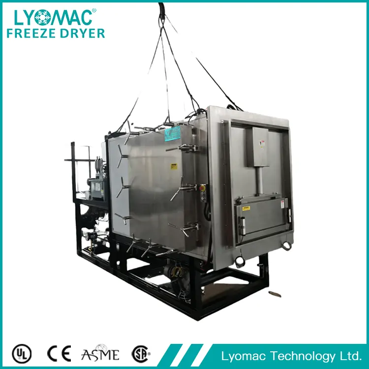 GMP Pharmaceutical Lyophilizer