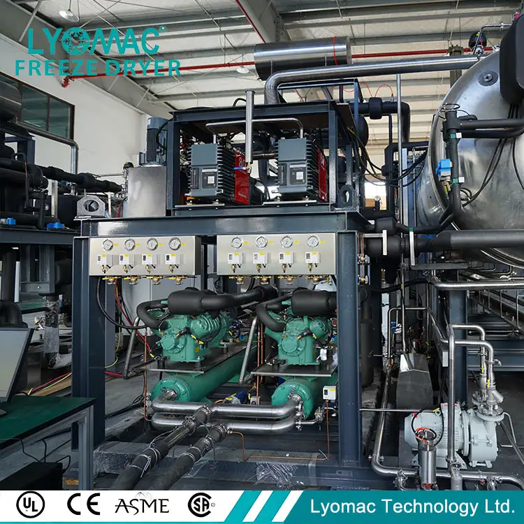 Vaccine Lyophilization Equipment