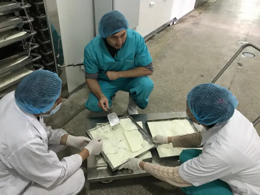 cGMP compliant pharmaceutical freeze dryer for vaccine production