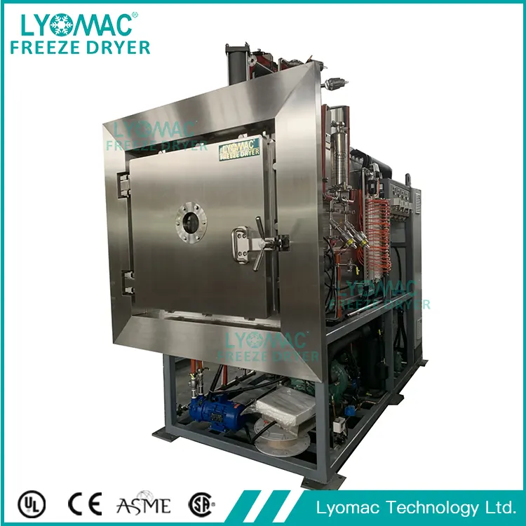 Pilot Model Lyophilizer